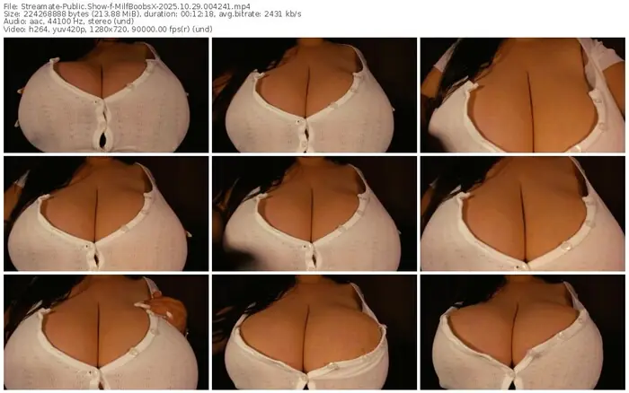 streamate-milfboobsx-10-29-2025-00-42-41