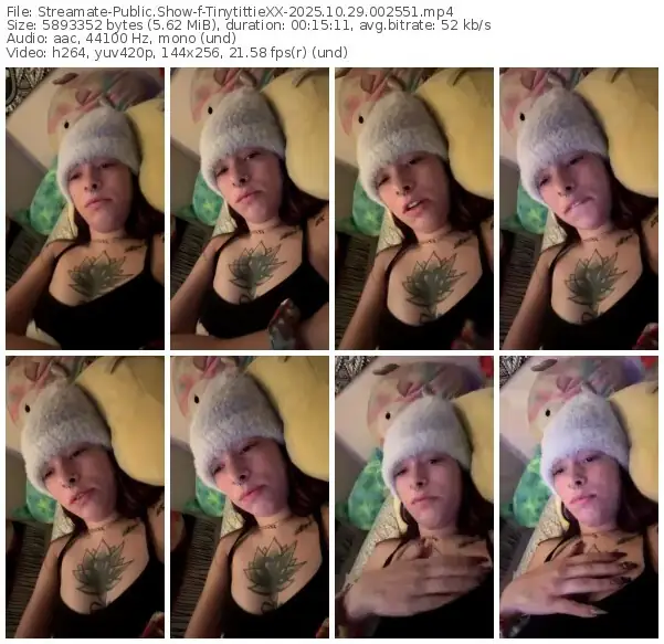 streamate-tinytittiexx-10-29-2025-00-25-51