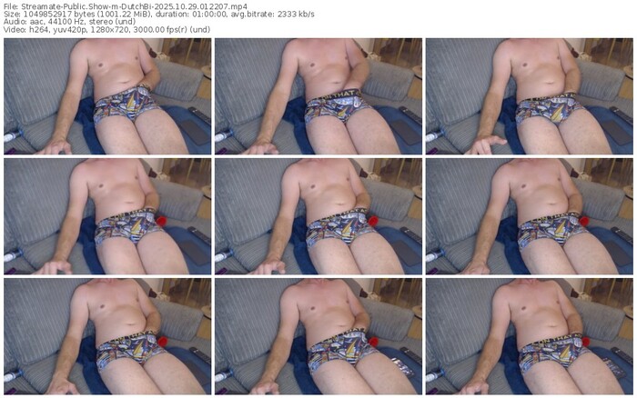 streamate-dutchbi-10-29-2025-01-22-07