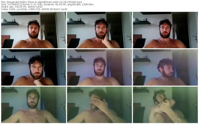 streamate-alphahhunk-10-29-2025-15-34-09
