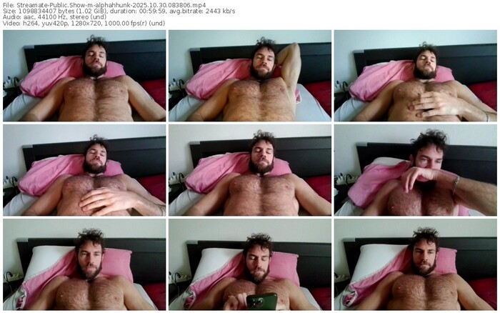 streamate-alphahhunk-10-30-2025-08-38-06