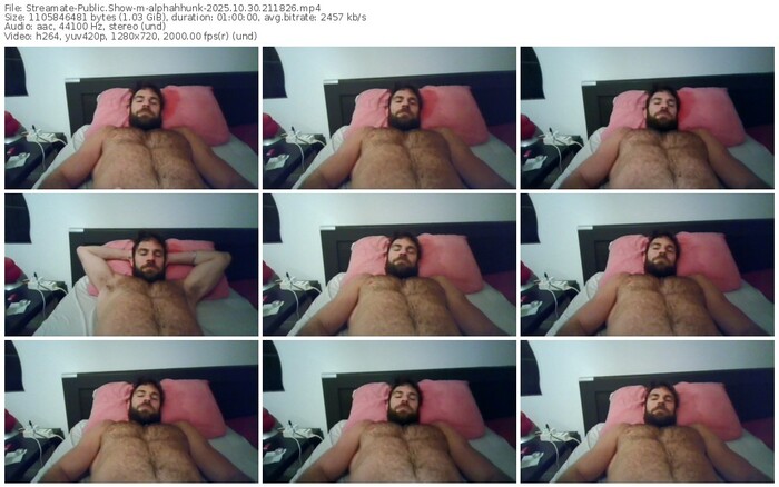 streamate-alphahhunk-10-30-2025-21-18-26