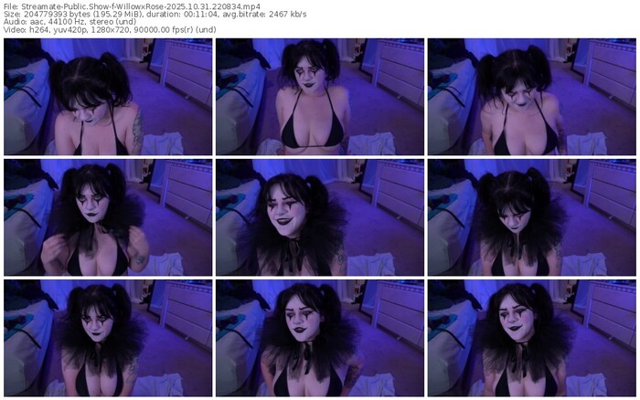 streamate-willowxrose-10-31-2025-22-08-34