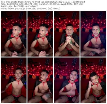 streamate-wildflamesilver2525-10-31-2025-18-33-49