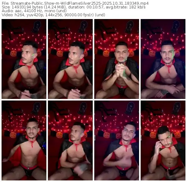 streamate-wildflamesilver2525-10-31-2025-18-33-49