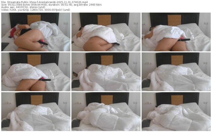 streamate-areolagrandii-11-01-2025-07-40-20