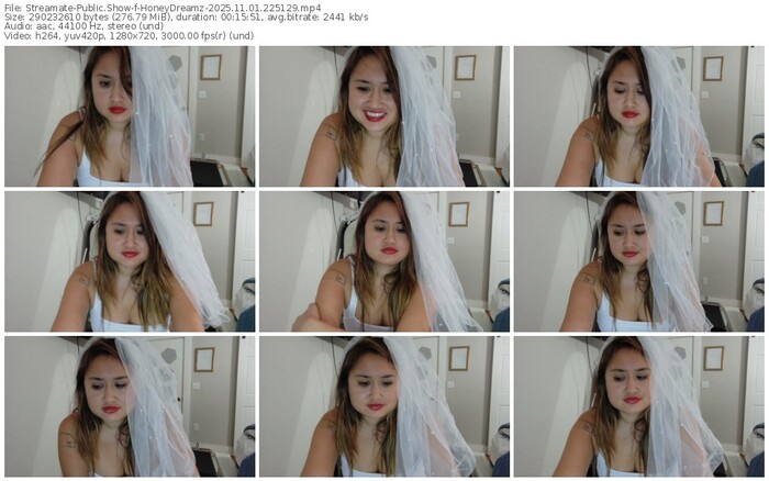 streamate-honeydreamz-11-01-2025-22-51-29