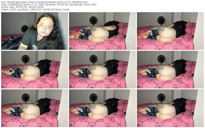 streamate-honeysweettea-11-01-2025-08-28-08