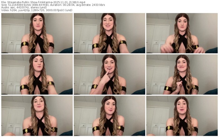 streamate-inkkarma-11-01-2025-21-38-10