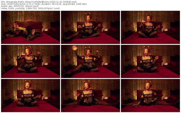 streamate-littleredbunny-11-01-2025-06-38-30