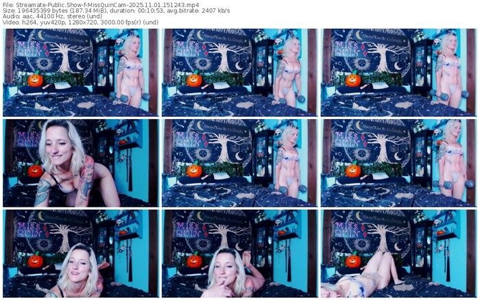 streamate-missquincam-11-01-2025-15-12-43