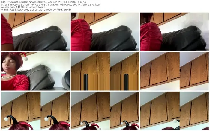 streamate-xtexasrosex-11-01-2025-21-07-10