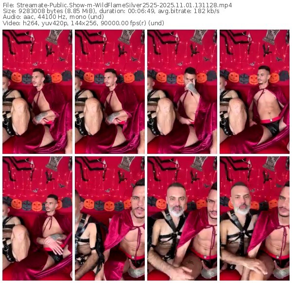 streamate-wildflamesilver2525-11-01-2025-13-11-28