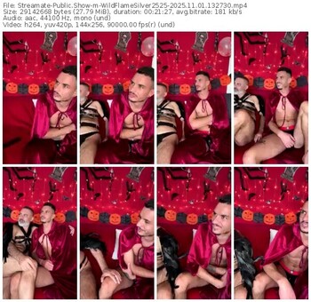 streamate-wildflamesilver2525-11-01-2025-13-27-30