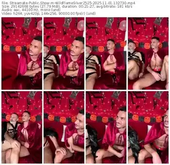 streamate-wildflamesilver2525-11-01-2025-13-27-30