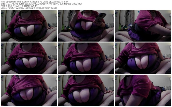 streamate-alleykat78-11-02-2025-08-20-16