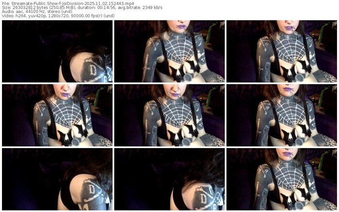 streamate-joidivision-11-02-2025-15-24-43