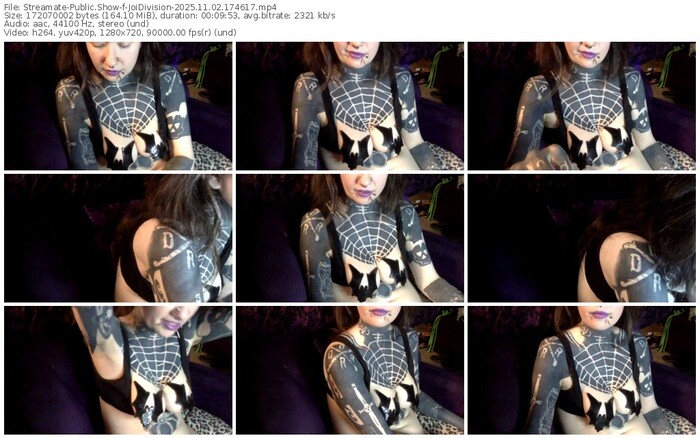 streamate-joidivision-11-02-2025-17-46-17