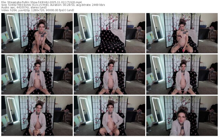 streamate-k8x4u-11-02-2025-17-19-20