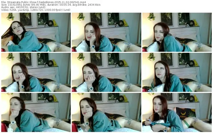 streamate-sadiebones-11-02-2025-06-25-41