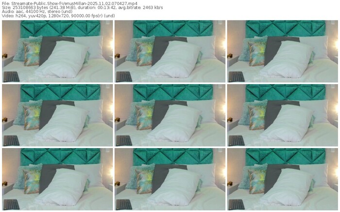 streamate-venusmillan-11-02-2025-07-04-27