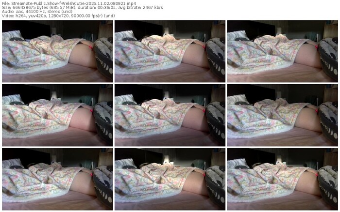 streamate-welshcutie-11-02-2025-08-09-21