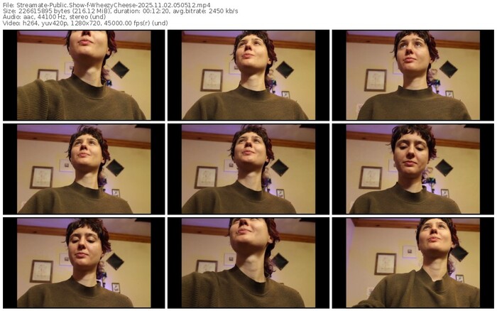 streamate-wheezycheese-11-02-2025-05-05-12