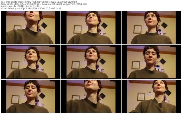 streamate-wheezycheese-11-02-2025-05-05-12