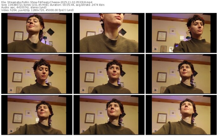 streamate-wheezycheese-11-02-2025-05-33-18