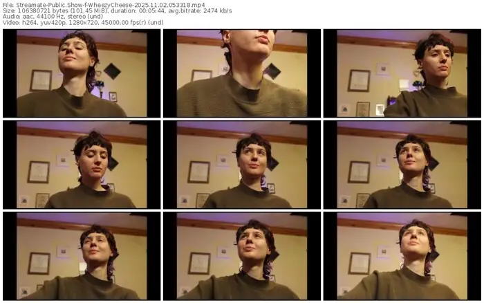 streamate-wheezycheese-11-02-2025-05-33-18