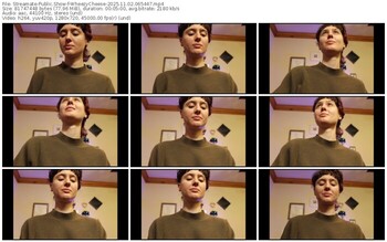 streamate-wheezycheese-11-02-2025-06-54-47