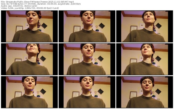 streamate-wheezycheese-11-02-2025-06-54-47