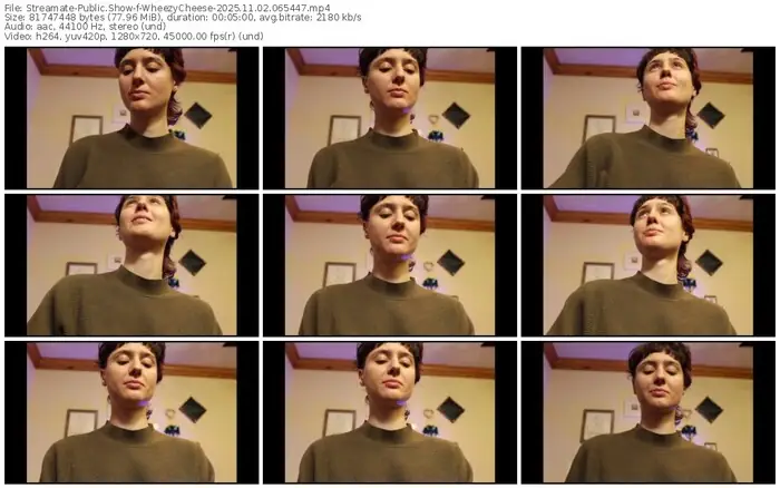 streamate-wheezycheese-11-02-2025-06-54-47