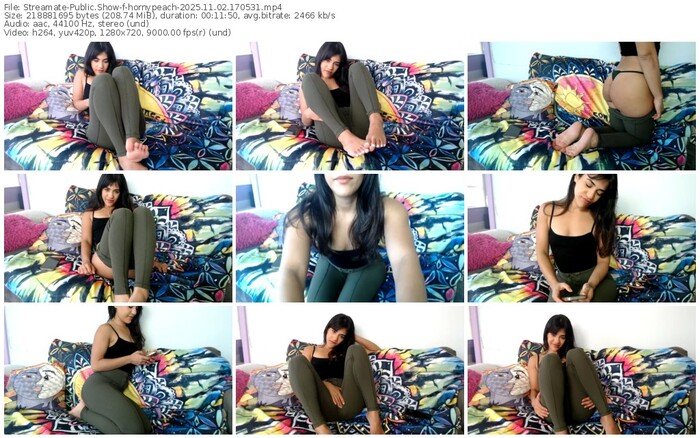 streamate-hornypeach-11-02-2025-17-05-31