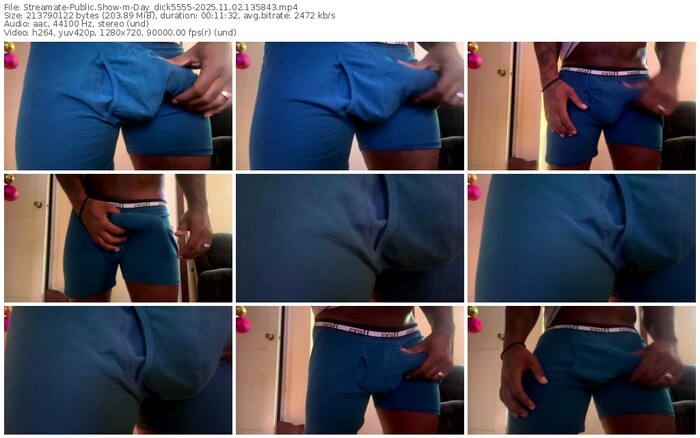 streamate-day_dick5555-11-02-2025-13-58-43