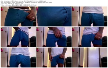 streamate-day_dick5555-11-02-2025-14-28-30