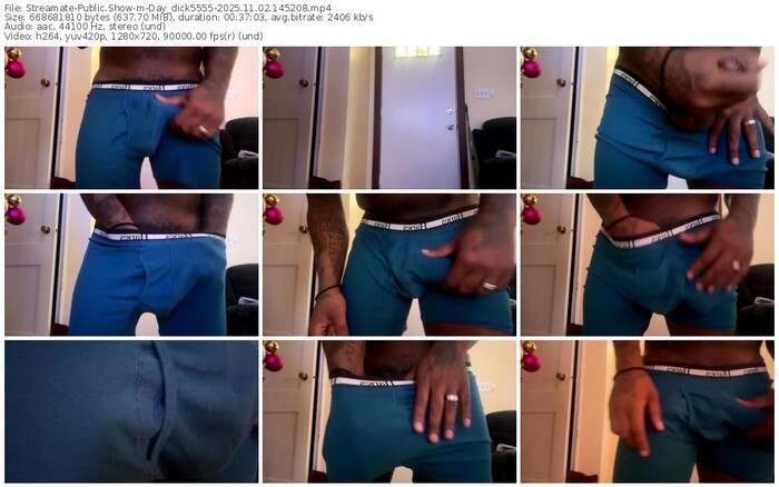 streamate-day_dick5555-11-02-2025-14-52-08