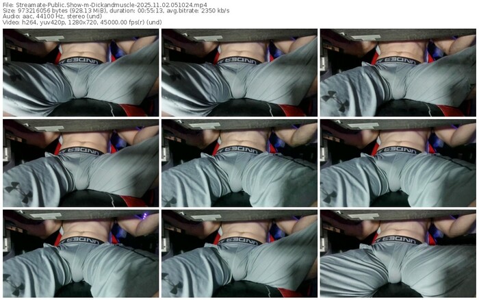 streamate-dickandmuscle-11-02-2025-05-10-24