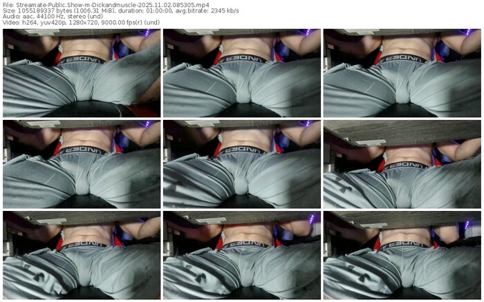 streamate-dickandmuscle-11-02-2025-08-53-05