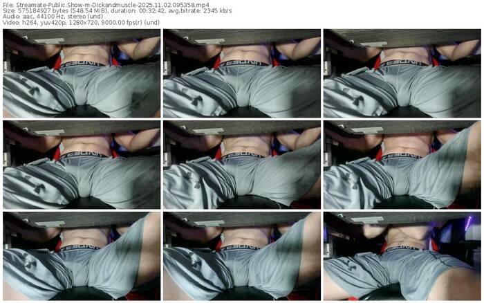 streamate-dickandmuscle-11-02-2025-09-53-58