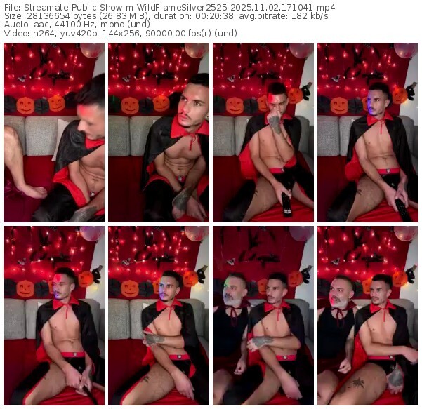 streamate-wildflamesilver2525-11-02-2025-17-10-41