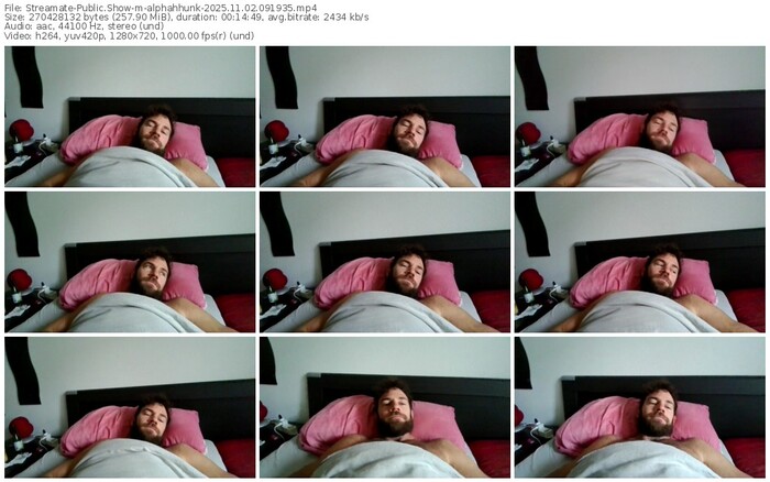 streamate-alphahhunk-11-02-2025-09-19-35