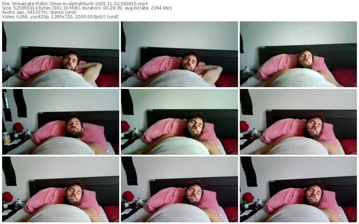 streamate-alphahhunk-11-02-2025-09-38-15