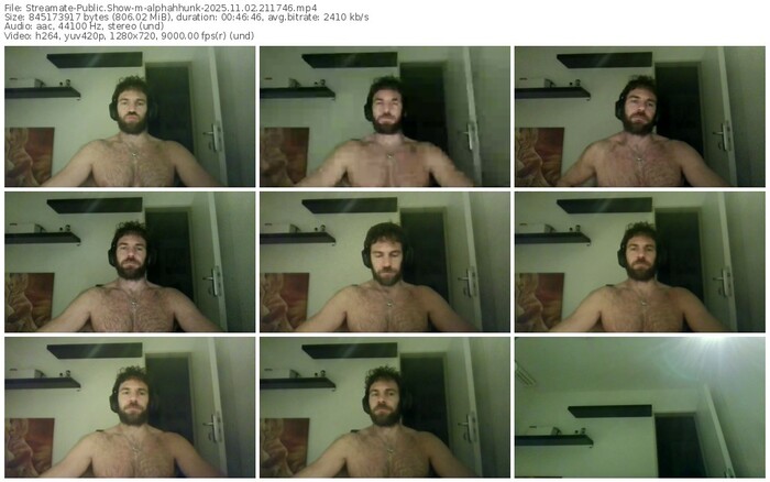 streamate-alphahhunk-11-02-2025-21-17-46