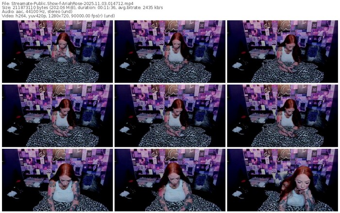 streamate-ariahrose-11-03-2025-01-47-12