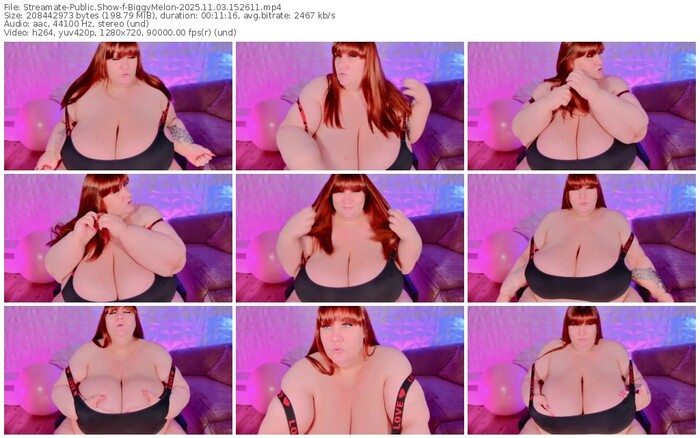 streamate-biggymelon-11-03-2025-15-26-11