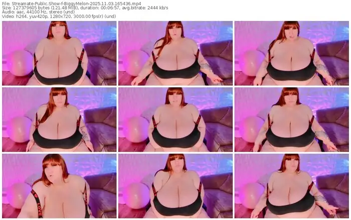 streamate-biggymelon-11-03-2025-16-54-36
