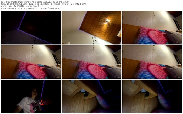 streamate-hesster-11-03-2025-05-24-02