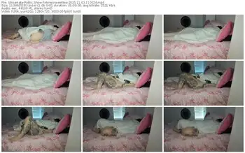 streamate-honeysweettea-11-03-2025-11-00-24