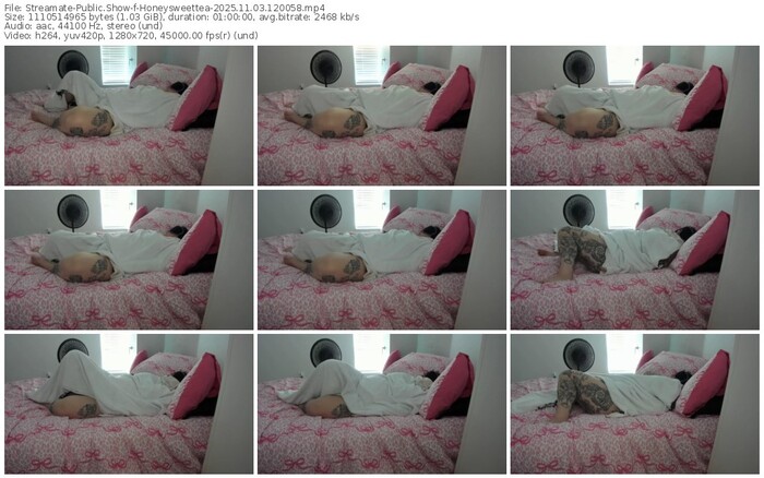 streamate-honeysweettea-11-03-2025-12-00-58
